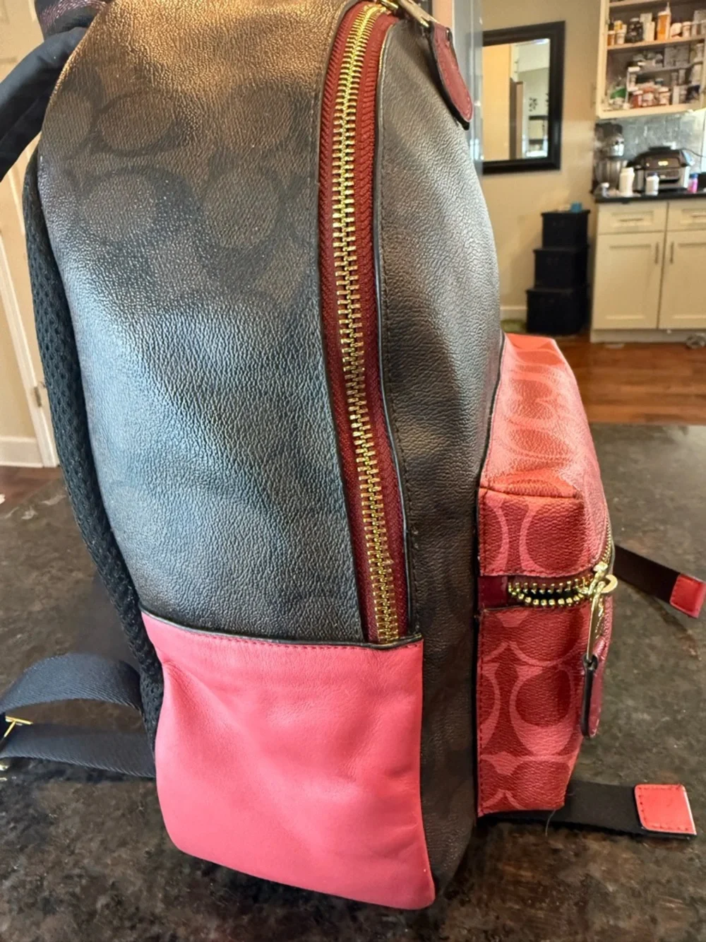 Coach Brown and Pink Signature Backpack
